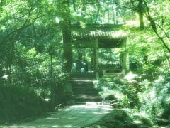 -虎跑公园