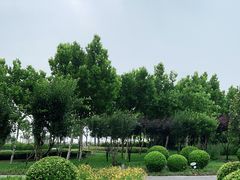 -东疆建设开发纪念公园