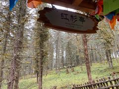 -硗碛藏寨·神木垒景区