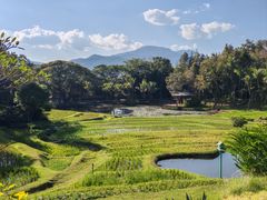 -四季酒店下午茶