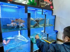 -金龙·打边炉(南京西路店)