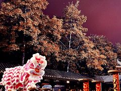 -佛山市祖庙博物馆