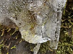 -龙苍沟森林公园