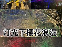 -堤角公园