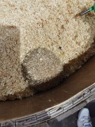 -Zoolung Zoolung动物主题公园(海信广场店)