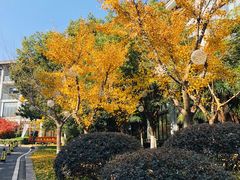 -天目湖御水温泉·度假酒店