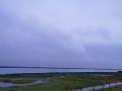 -七的湖·晚芳亭·阳澄湖农家菜·大闸蟹(莲花岛店)