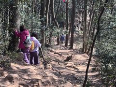 -西湖风景区十里琅珰-五云山