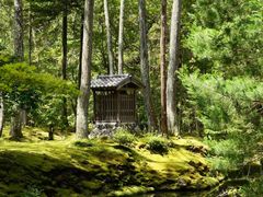 -西芳寺(苔寺)
