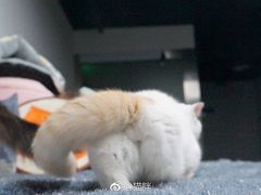 -清真·穆萨砂锅(大皮院店)