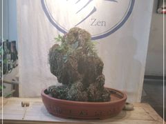 -之参餐厅(前门大街店)