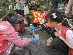 -成都市活水公园