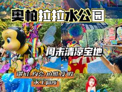 -奥帕拉拉水公园