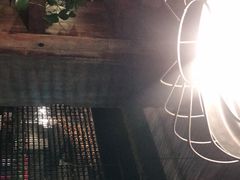 -四季春