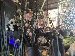-王家渡火锅(金宝汇店)