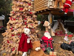 -HERRE·FARM 赫尔露营农场·团建聚会包场