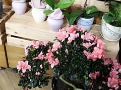 -Olé精品超市(上海虹桥南丰城店)
