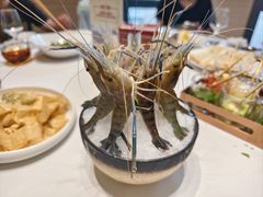 -红鼎豆捞·非遗鲍皇汤火锅(宝丰路店)