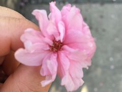 -同济大学(嘉定校区)