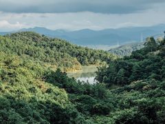 -广州白江湖森林公园