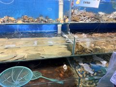 -仙螺岛海鲜自助餐厅(总店)