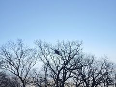 -终南山南五台景区