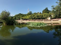 -海马体照相馆(大连柏威年购物中心店)