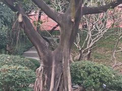 -广州雕塑公园