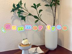 -树夏Tree Summer