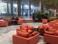 -北京望京凯悦酒店The Lounge大堂酒廊