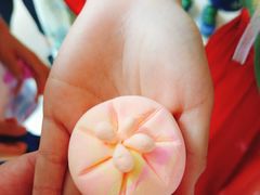 -金陵中学(河西分校)