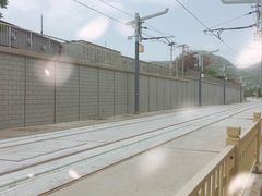 -北京植物园-展览温室