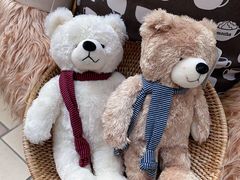 -济州岛泰迪熊博物馆