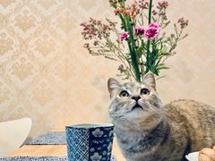 -G-Super 绿地优选(徐汇绿地缤纷城店)