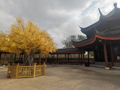 -广东圆玄道观