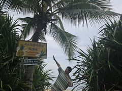 -三亚海棠湾万丽度假酒店