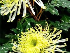 -禾珍珠家常小馆(河南博物院店)