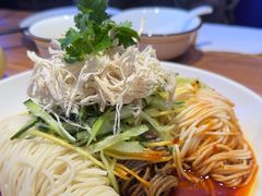 -俭寨大盘芦花土鸡·小公鸡·烧烤新疆菜(云通店)