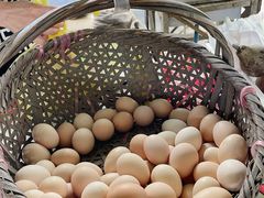 -马陆小张葡萄园农家乐