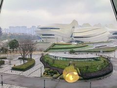 -茶颜悦色(金茂览秀城LG层外街店)