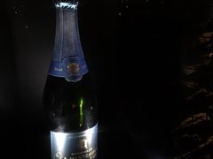 -STARRY CAFE & LOUNGE BAR(高新店)