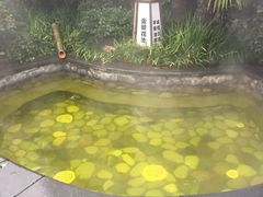 -杭州第一世界大酒店·云曼温泉