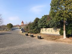 -上海海湾国家森林公园