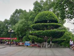 -龙头寺公园
