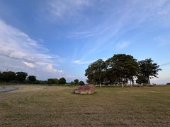 -合肥滨湖国家森林公园