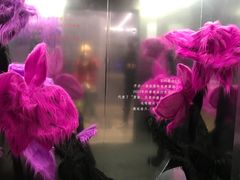 -X88商场(铜仁路店)