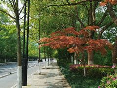 -杭州半山国家森林公园