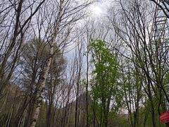 -帽儿山风景区