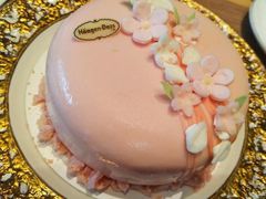 -哈根达斯(绍兴银泰店)
