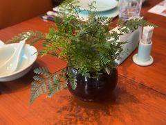 -阿纳迪酒店·悦餐厅
